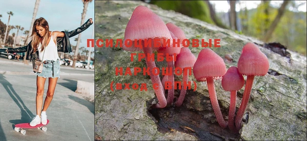 ПСИЛОЦИБИНОВЫЕ ГРИБЫ Горняк