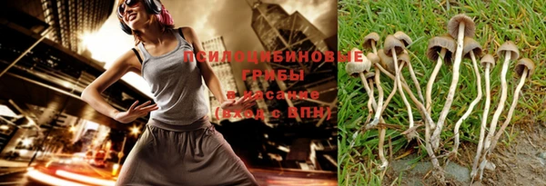 ПСИЛОЦИБИНОВЫЕ ГРИБЫ Горняк