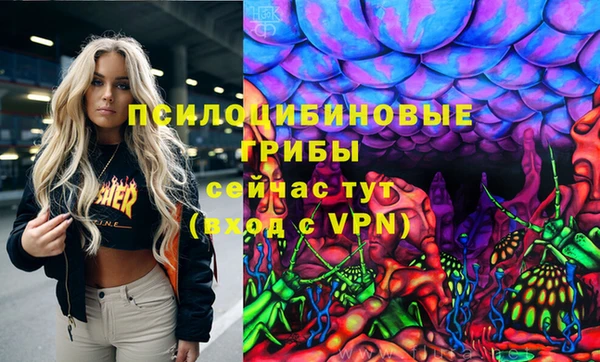 соль курить ск Гусь-Хрустальный