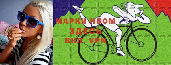 ПСИЛОЦИБИНОВЫЕ ГРИБЫ Горняк
