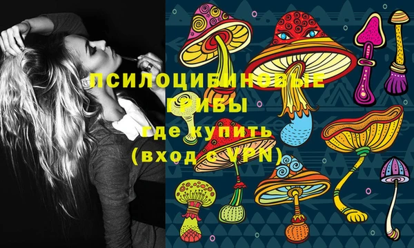 ПСИЛОЦИБИНОВЫЕ ГРИБЫ Горняк