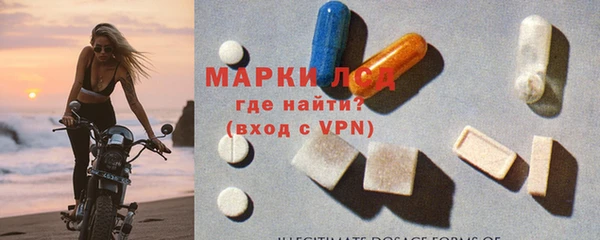 ПСИЛОЦИБИНОВЫЕ ГРИБЫ Горняк